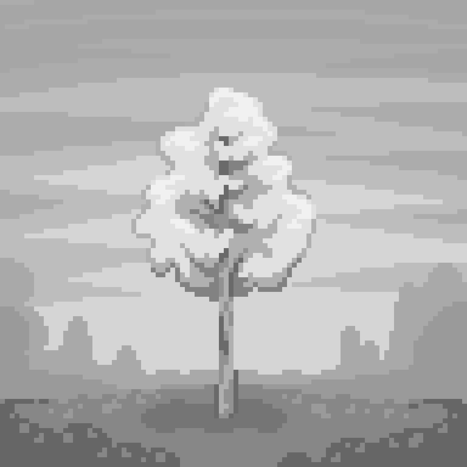 Monochrome