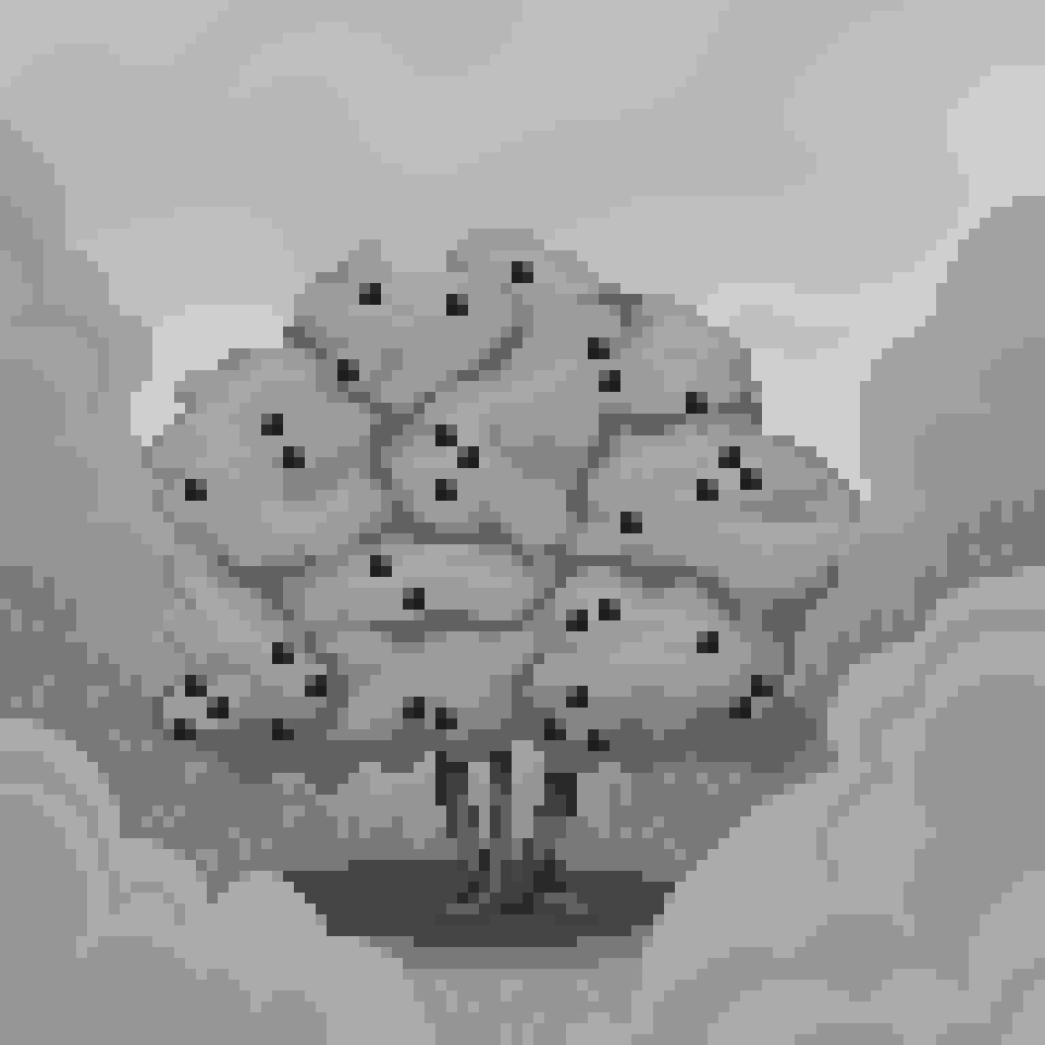 Monochrome